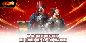 Đá Gà Philippines BM88 - Đấu Trường Nảy Lửa, Đòn Mãn Nhãn