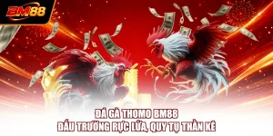Đá Gà Thomo BM88 - Đấu Trường Rực Lửa, Quy Tụ Thần Kê