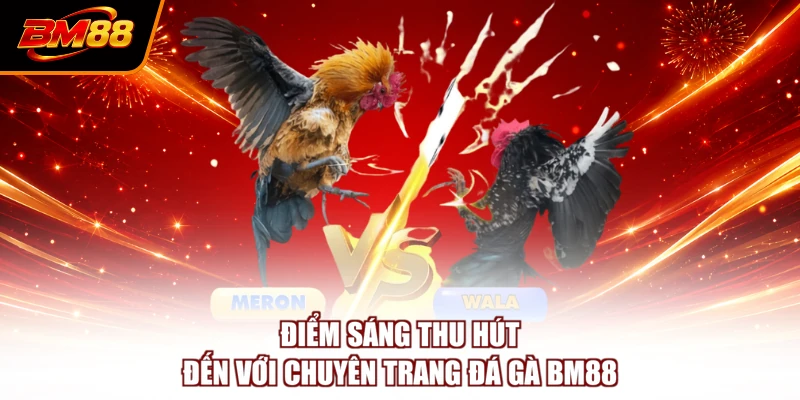 Điểm sáng thu hút đến với chuyên trang đá gà BM88