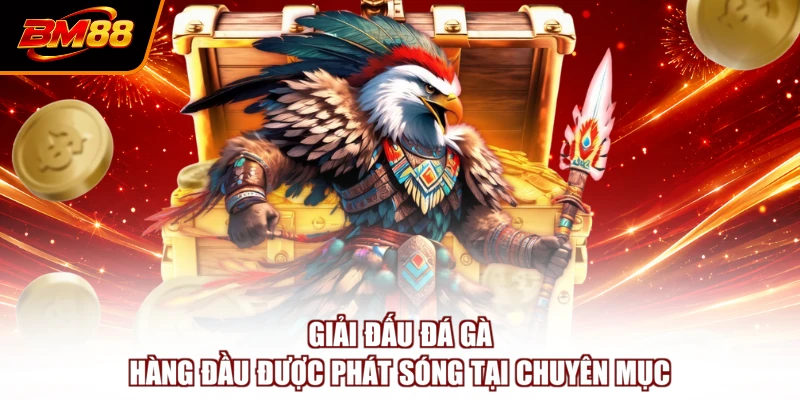 Giải đấu đá gà hàng đầu được phát sóng tại chuyên mục
