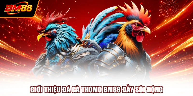 Giới thiệu đá gà Thomo BM88 đầy sôi động