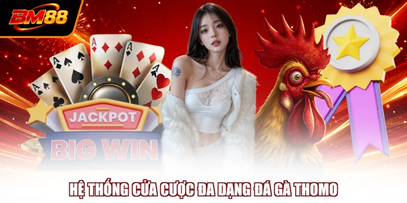 Hệ thống cửa cược đa dạng đá gà Thomo