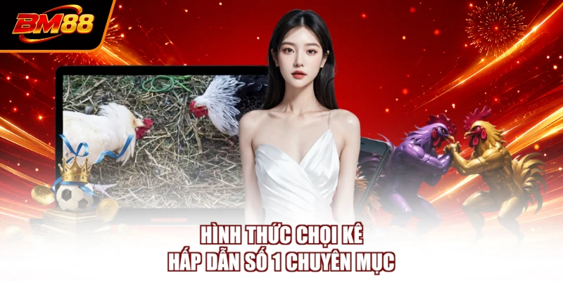 Hình thức chọi kê hấp dẫn số 1 chuyên mục