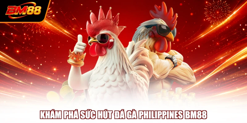Khám phá sức hút đá gà Philippines BM88